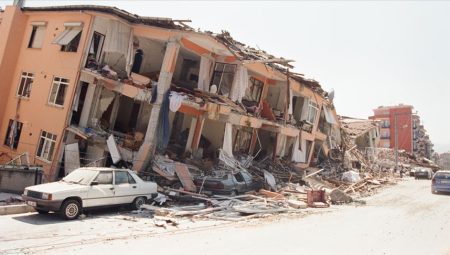 Depremzede Kedi 10 Gün Sonra Kurtarıldı