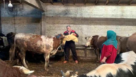 Ordu’da Kurban Pazarı Hareketleniyor